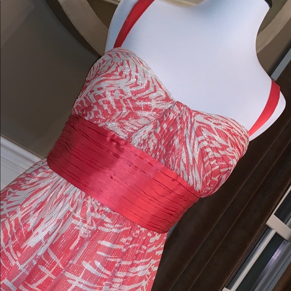BCBG Maxazria Sliver threaded Gathered Dress Sz 4 - Picture 3 of 12